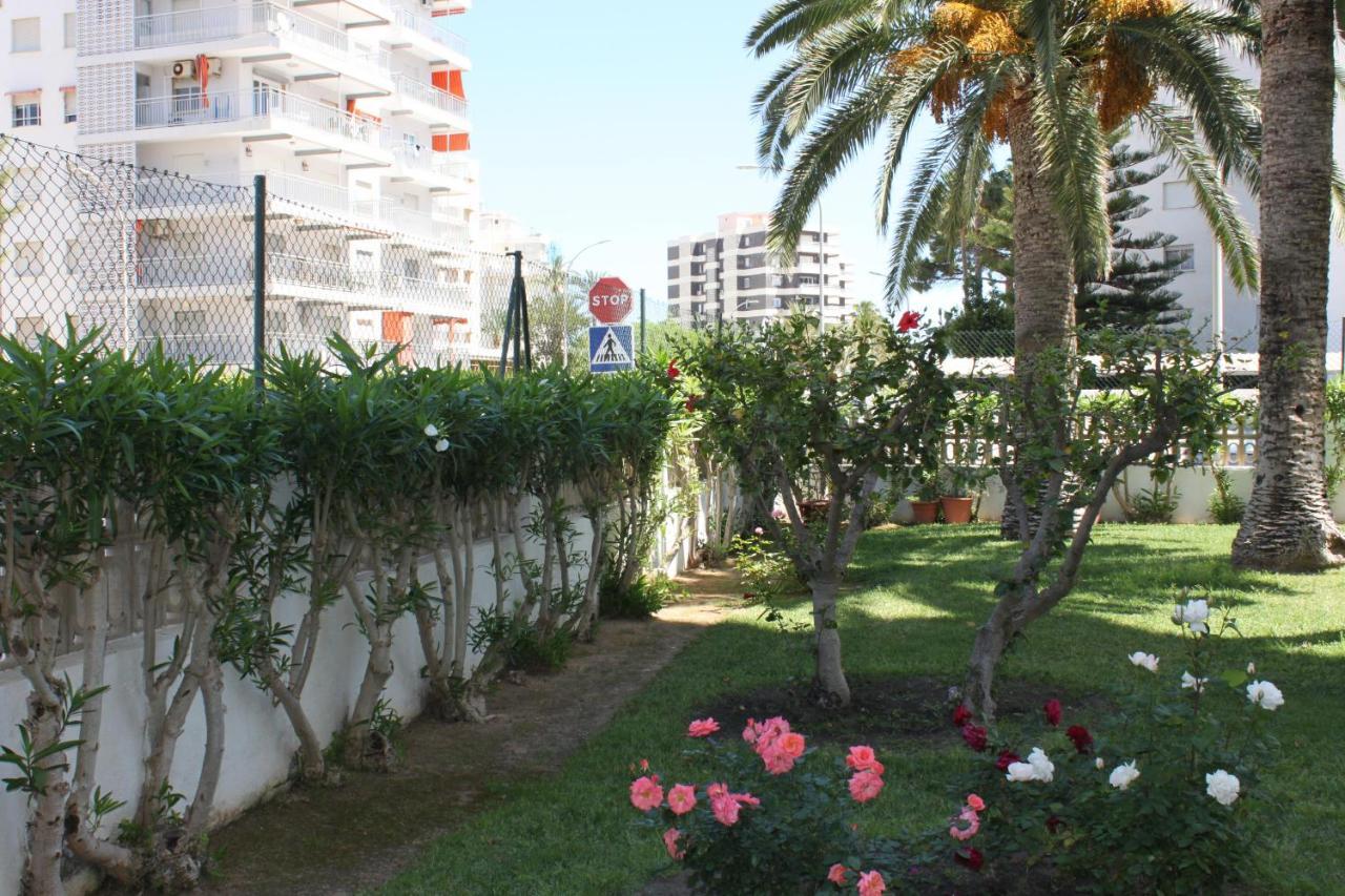 Flamingo Solo Familias Serviplaya Playa de Gandia Extérieur photo